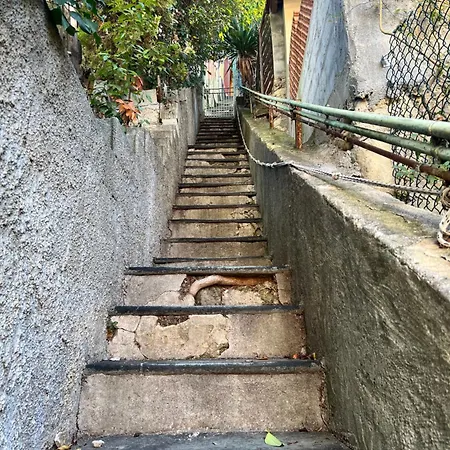 Maisonnette Avec Escalier Ментона